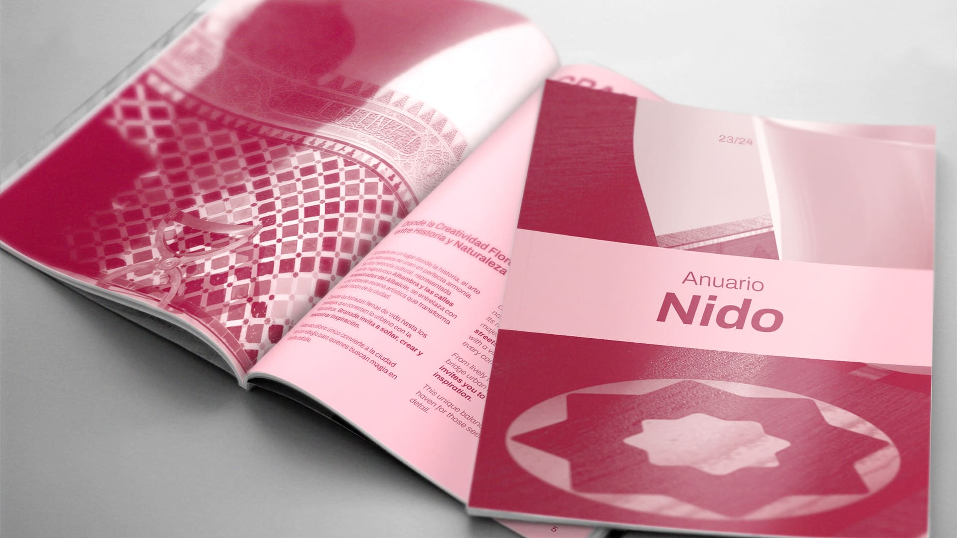 Diseño editorial-experiencia visual